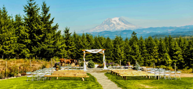 Wide View of Arbor with Horses and Mt. Rainier in Background