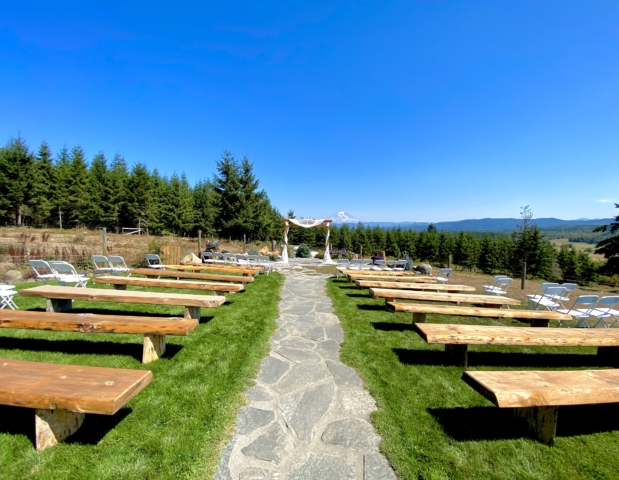 Long View of Arbor with Mt. Rainier in Background