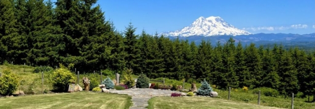 Simple Ceremony Area with Mt. Rainier in Background