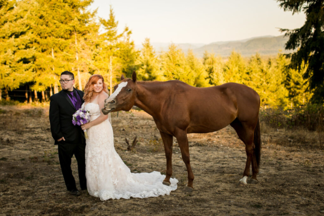 Horse Photo Bomb of Bride and Groom